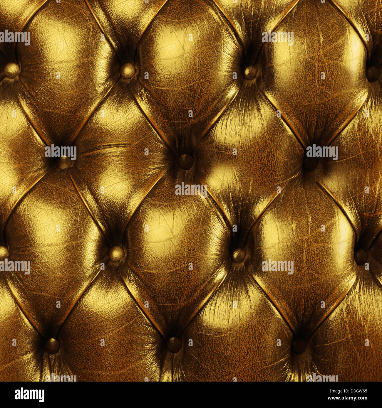 Tight leather hi-res stock photography and images - Alamy