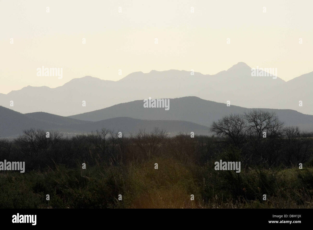Backdrop of sparse vegetation hi-res stock photography and images - Alamy
