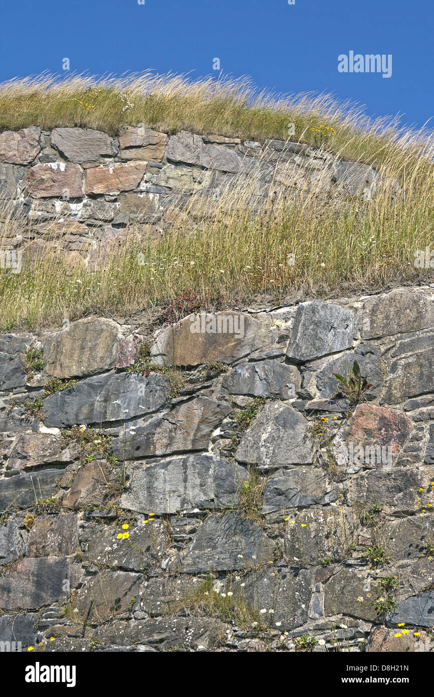 planted Wall Stock Photo