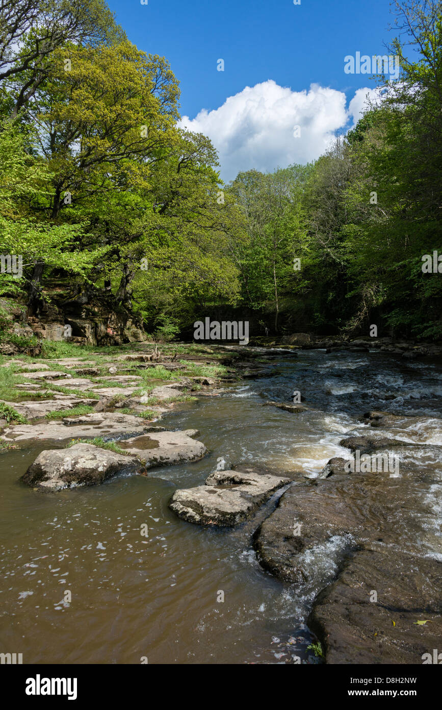River Derwent Near Shotley Bridge Stock Photo Alamy
