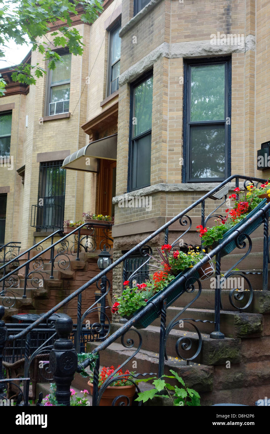 row of brownstones in Brooklyn Stock Photo Alamy