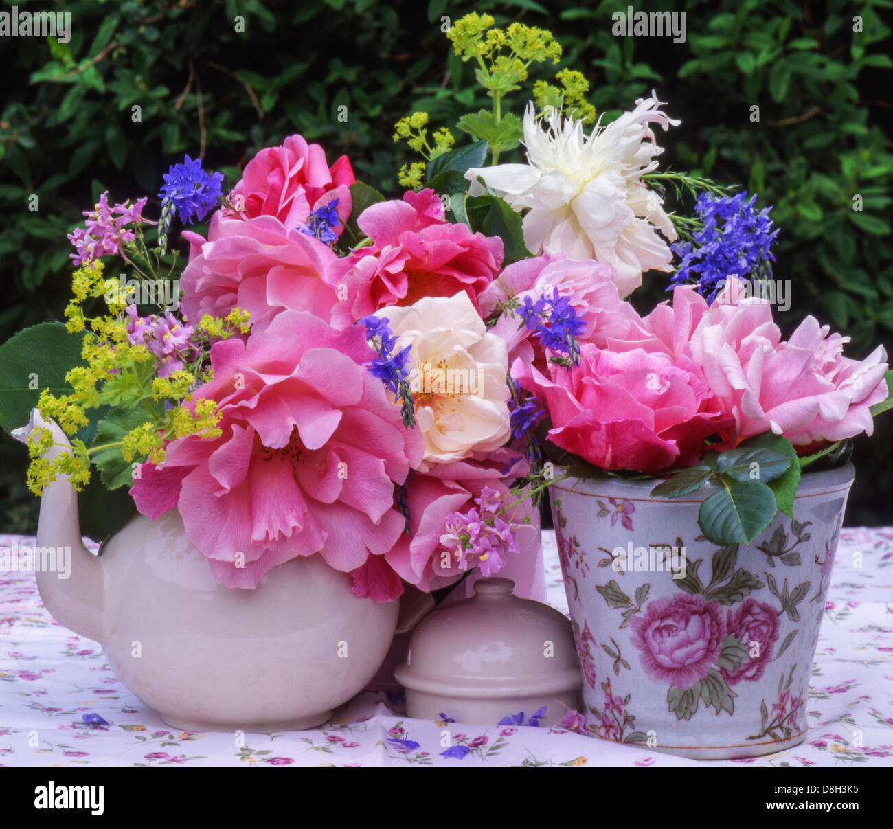 An arrangement of summer flowers in an English garden with pink and white roses, blue campanulas & Lady's Mantle, Alchemilla mol Stock Photo