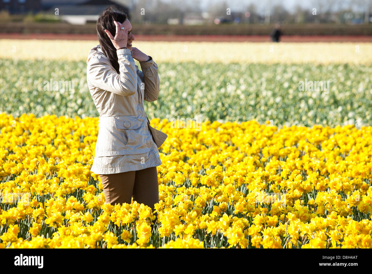 A woman posing for photos in Daffodil fields near Keukenhof gardens, Lisse, Netherlands. Stock Photo