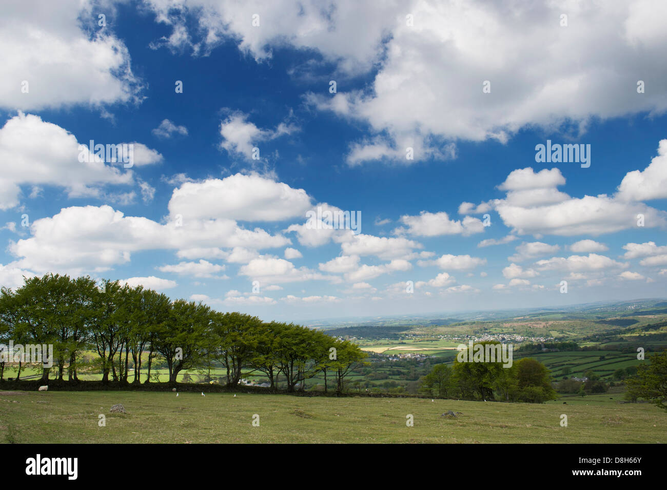 East Devon landscape looking from Dartmoor. England Stock Photo