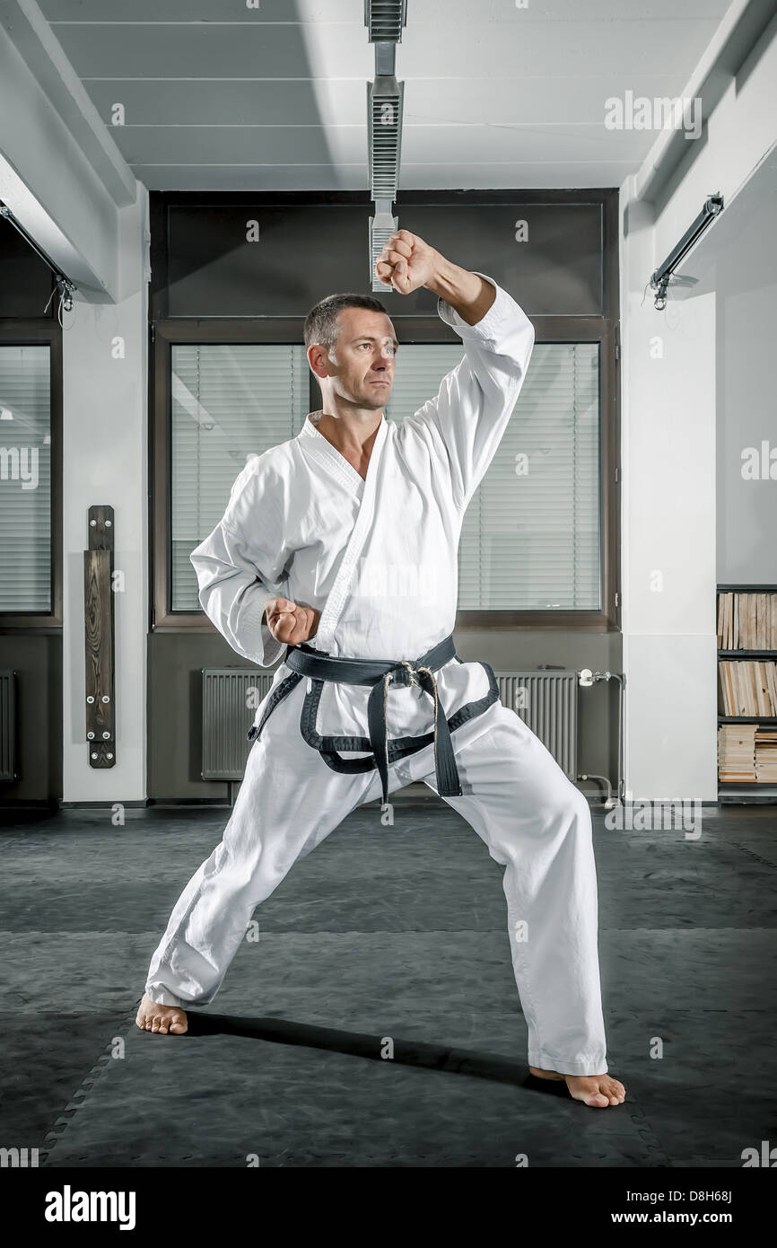 martial arts master Stock Photo Alamy