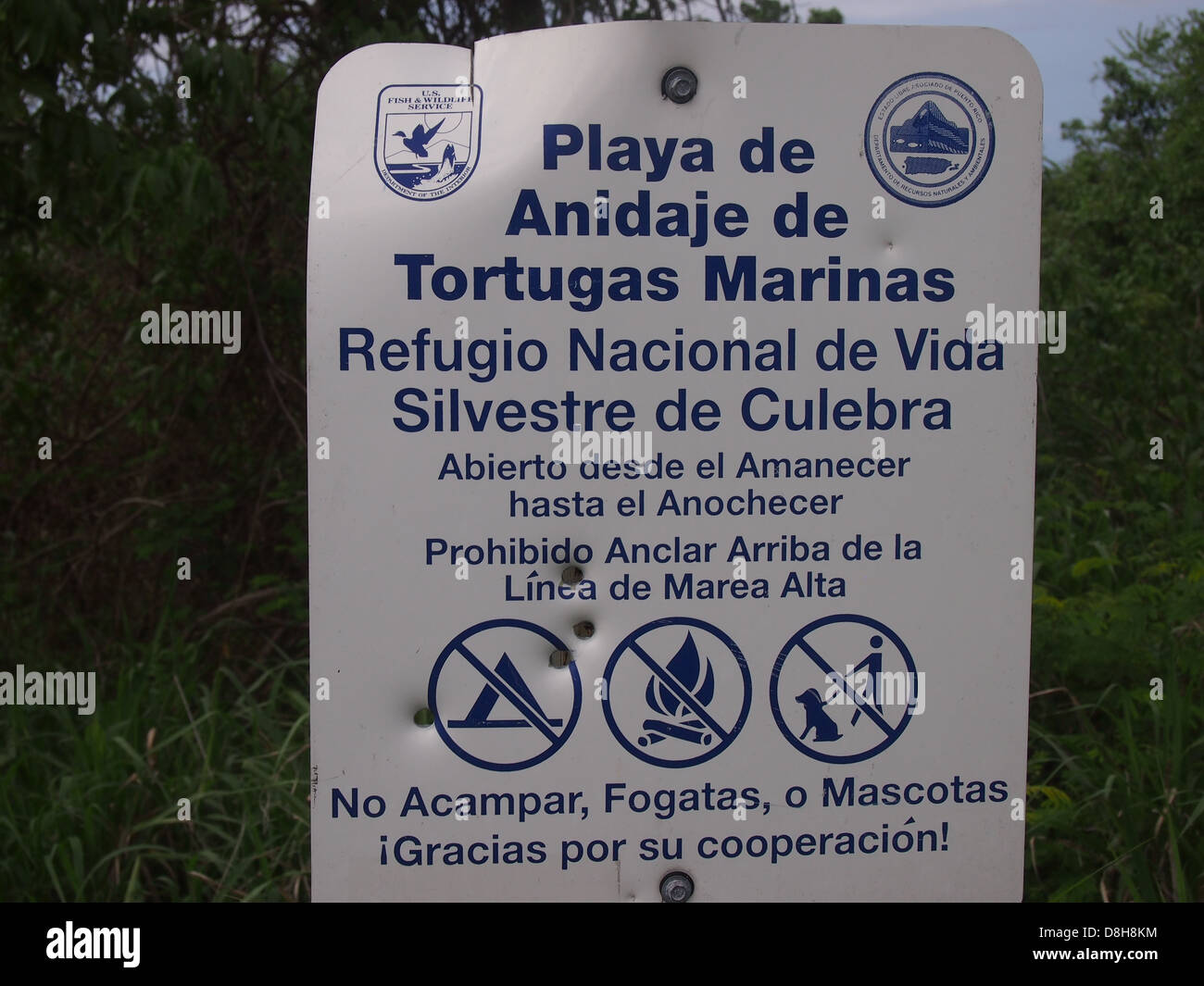 Spanish Sign for turtle nesting beach Stock Photo