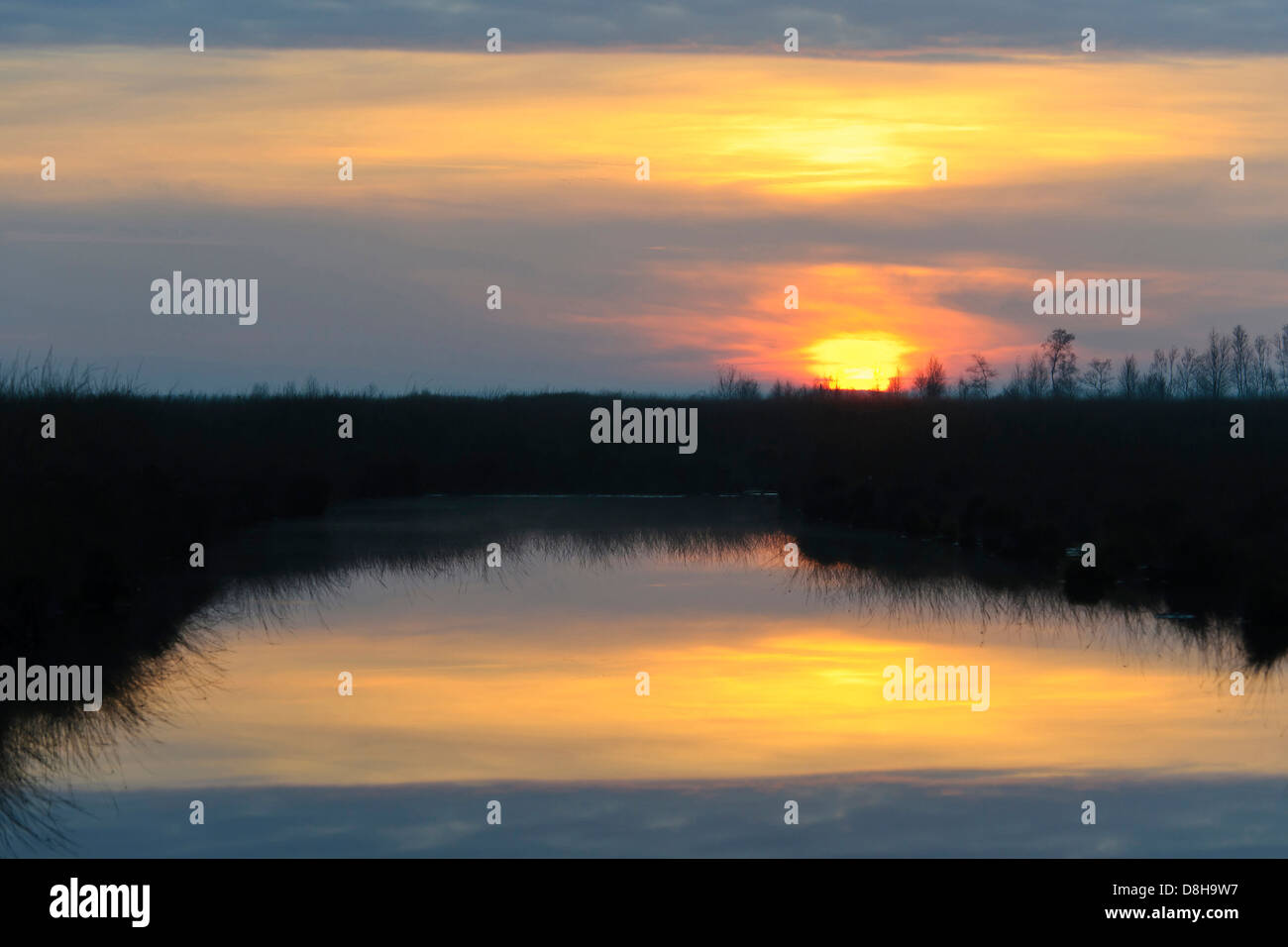 sunrise, goldenstedter moor, lower saxony, germany Stock Photo