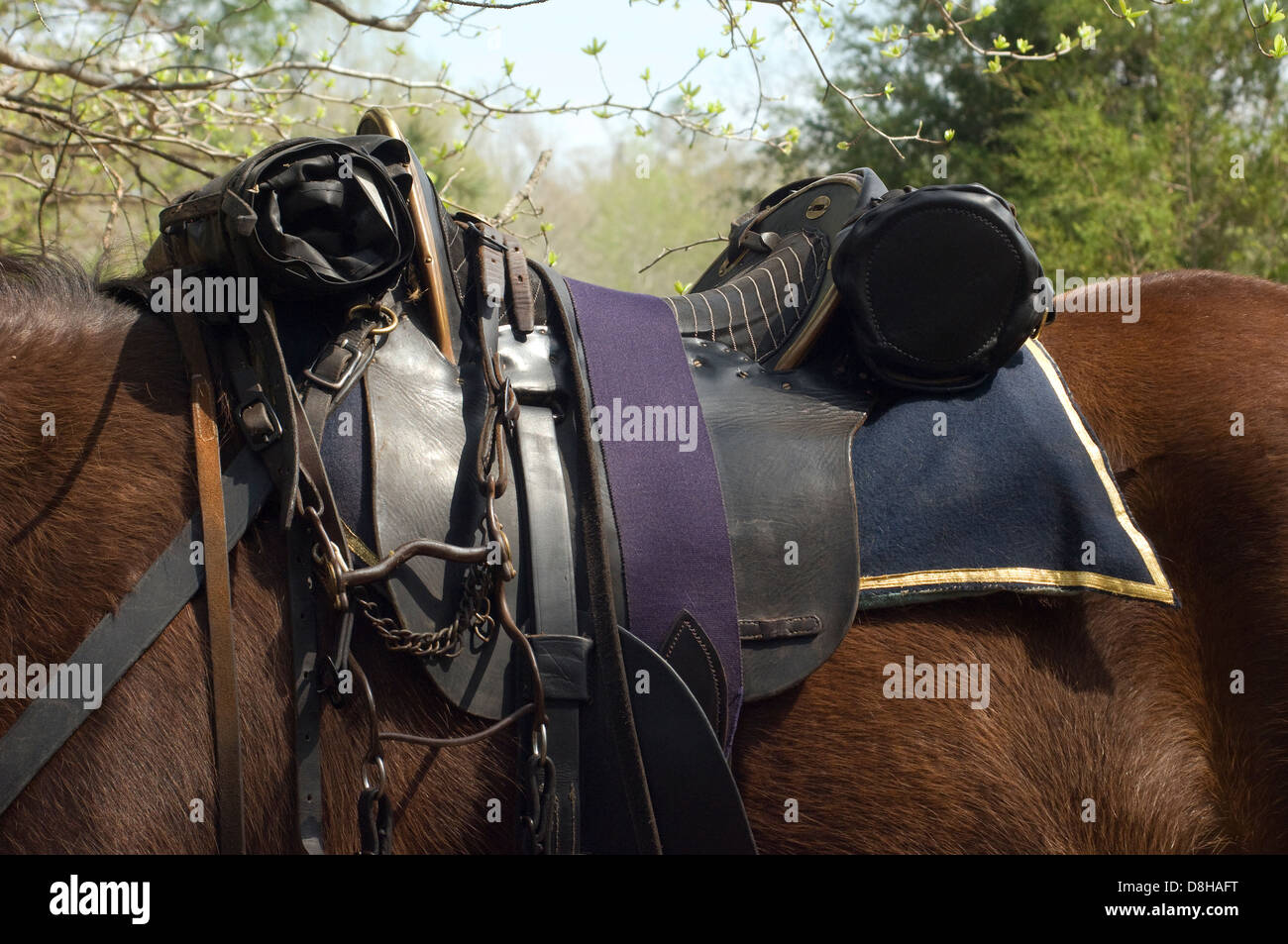 Union cavalry saddle and bridle, Shiloh National Military Park, Tennessee.  Digital photograph Stock Photo - Alamy