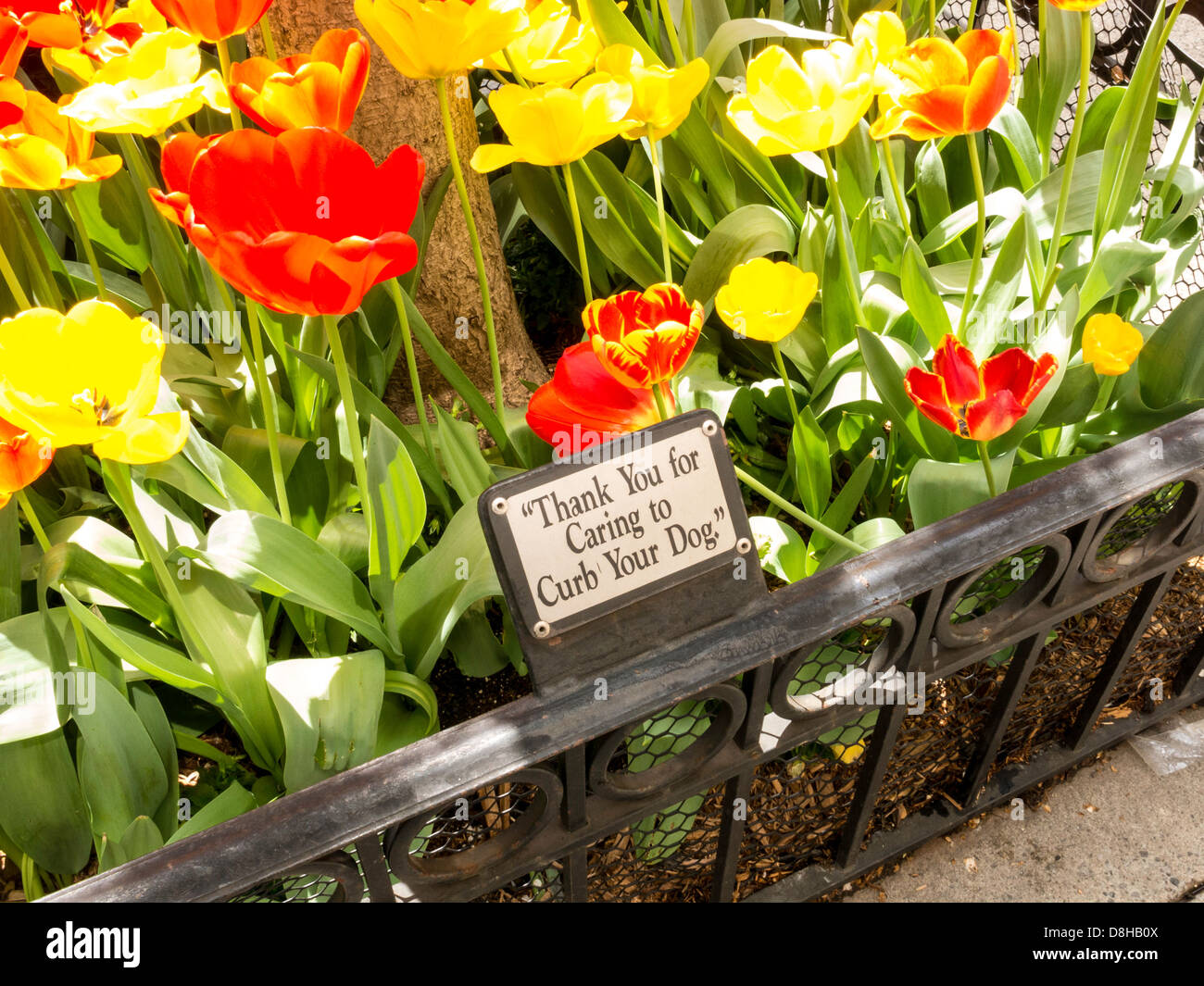 'Thank You for Caring to Curb Your Dog' Sign Stock Photo