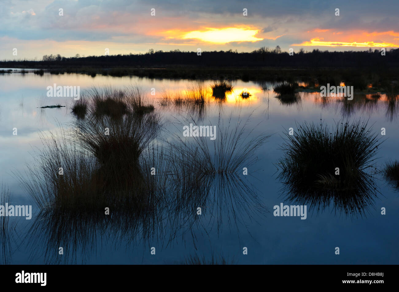 sunset, goldenstedter moor, lower saxony, germany Stock Photo