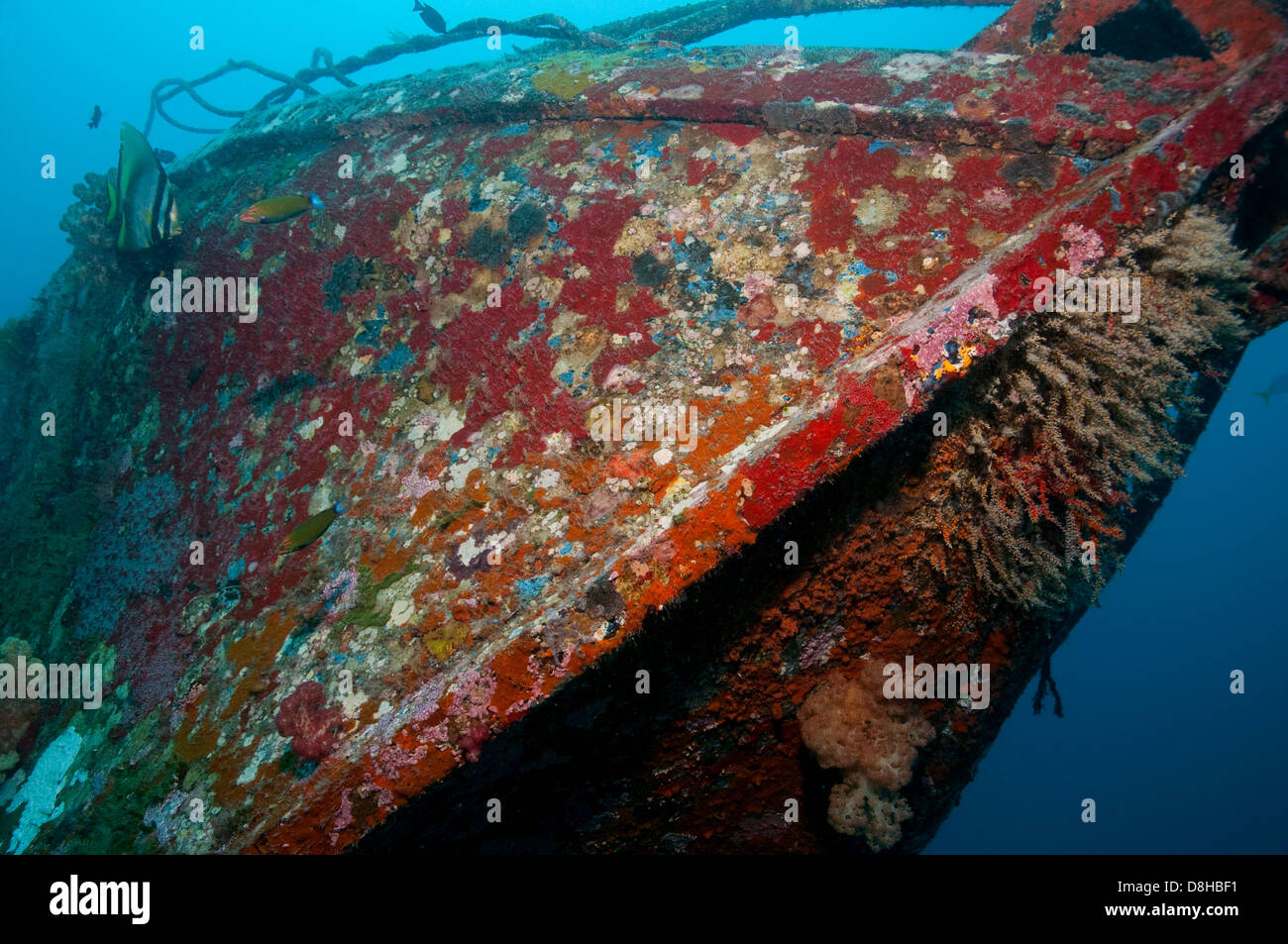 shipwreck Stock Photo
