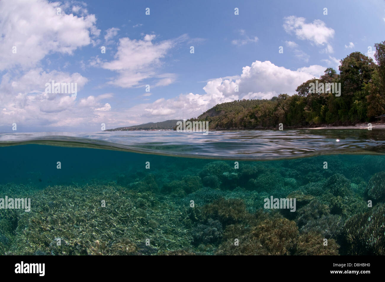 sulawesi Stock Photo