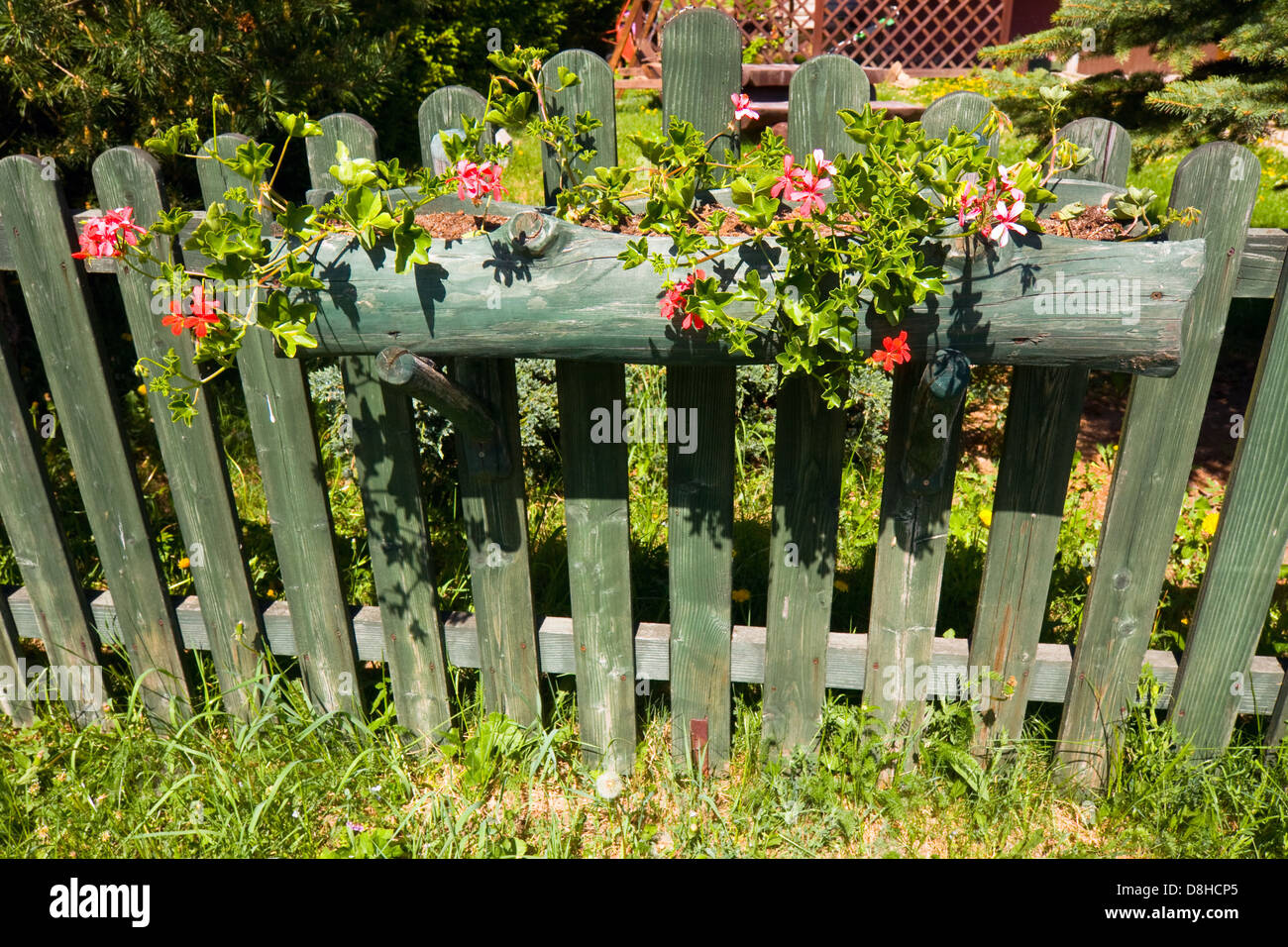 beautiful flower decoration of an old wooden fence Stock Photo - Alamy