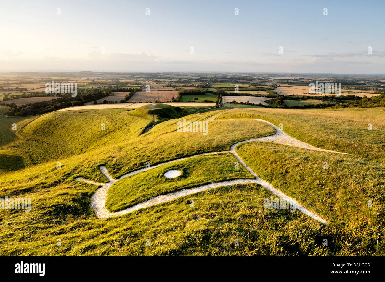 Uffington White Horse. Prehistoric Bronze Age chalk hill figure Oxfordshire, England. Close up over head, eye, ears and neck Stock Photo