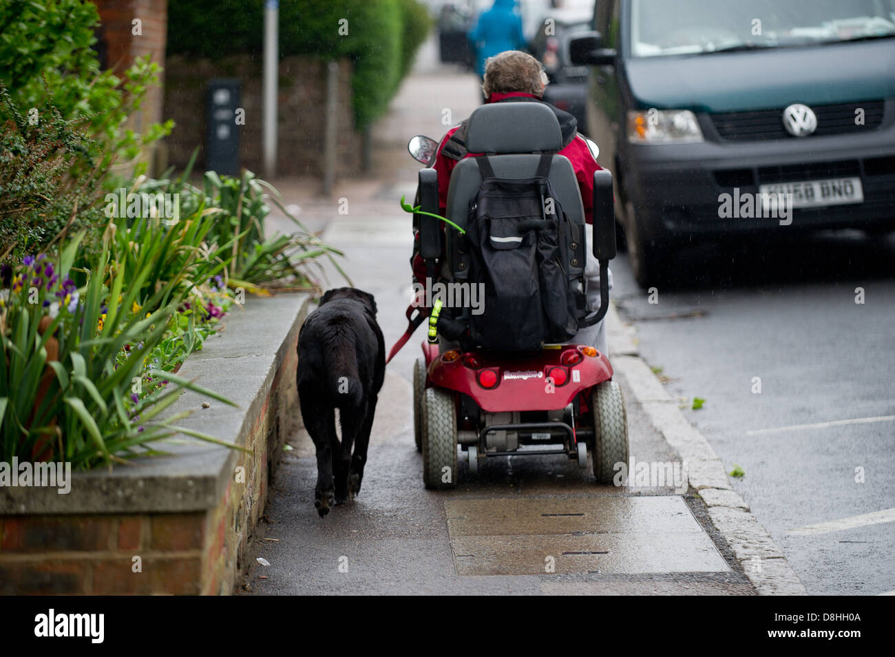 A man in a mobility scooter walking his dog Stock Photo Alamy