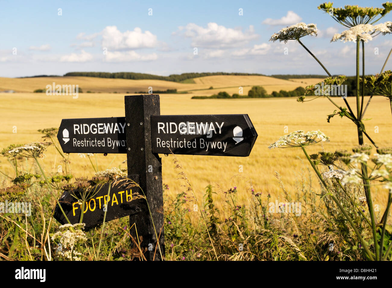 The Ridgeway. Sign on 5000 year old long distance path seen between Uffington Castle and Wayland’s Smithy. Oxfordshire, England Stock Photo