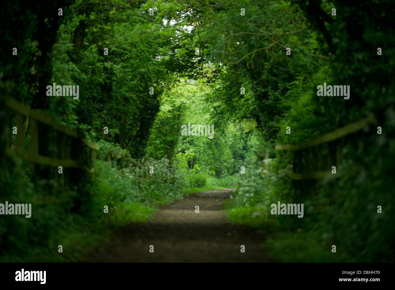 A view along the Nickey Line in Redbourn, UK Stock Photo - Alamy