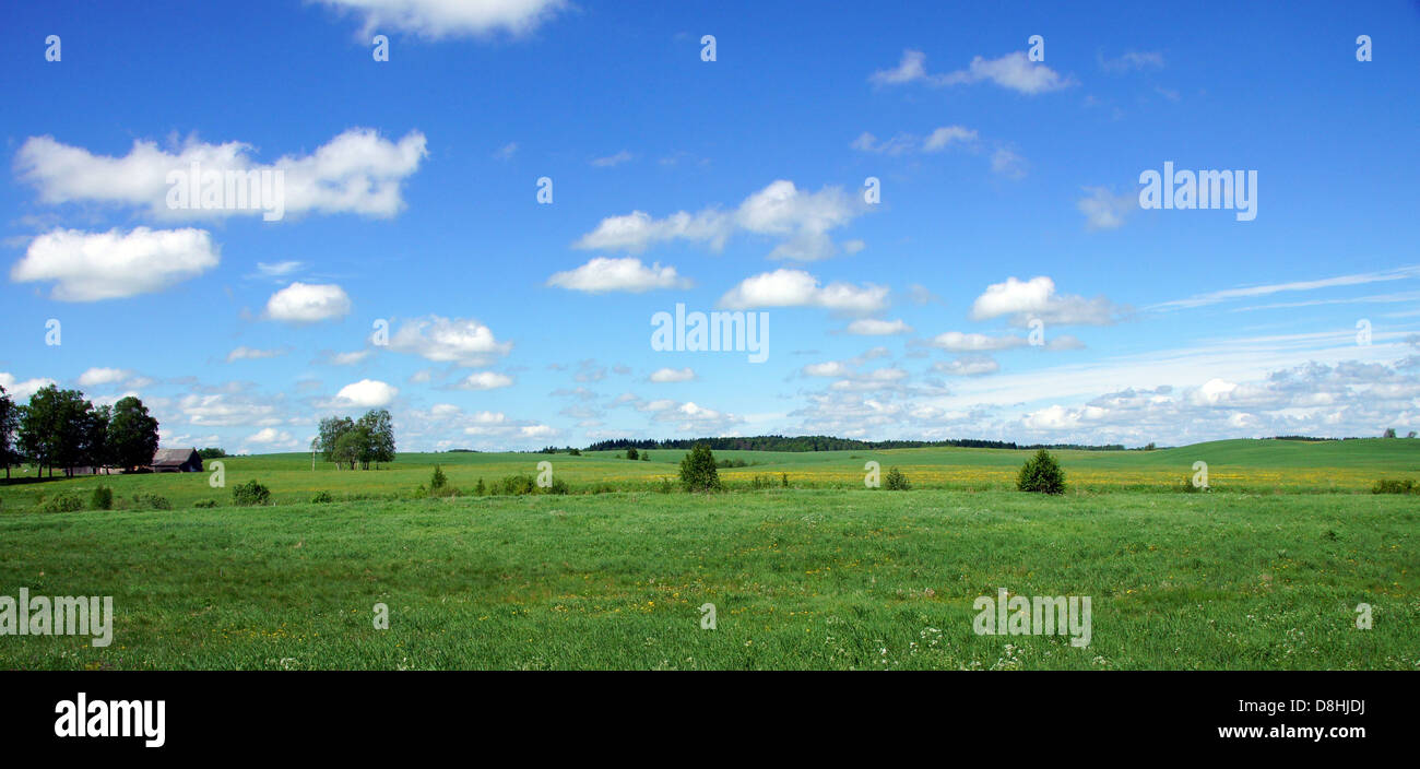 Meadow on a background of the sky and clouds Stock Photo