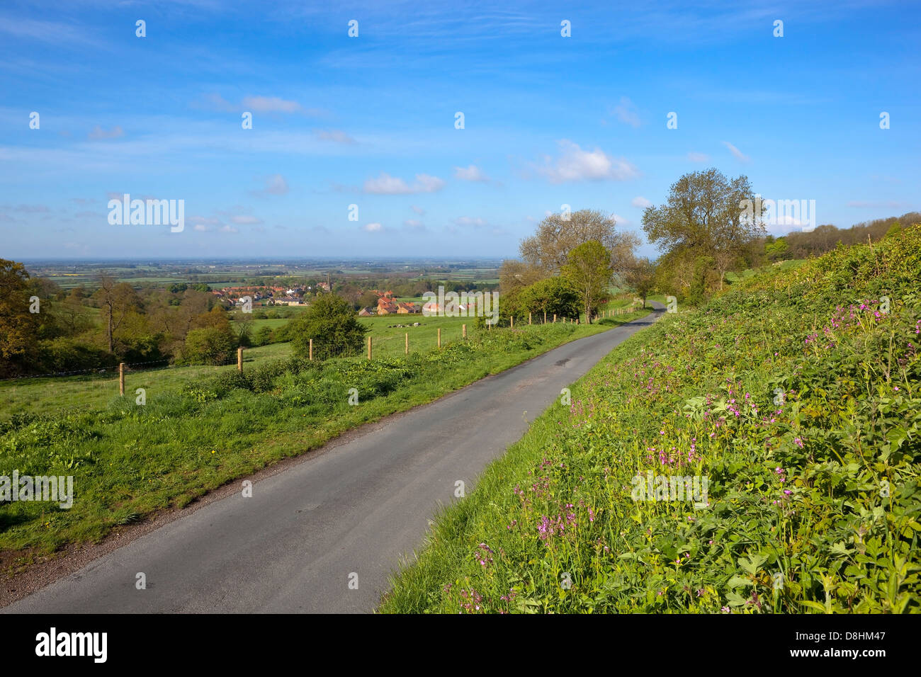 Wilton village and the distant Vale of York viewed from