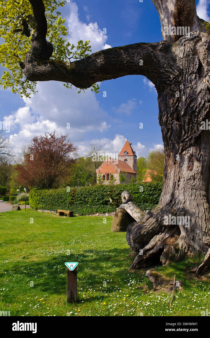 1000 year old oak at dötlingen with st. firminus church, wildeshausener geest, oldenburg district, lower saxony, germany Stock Photo