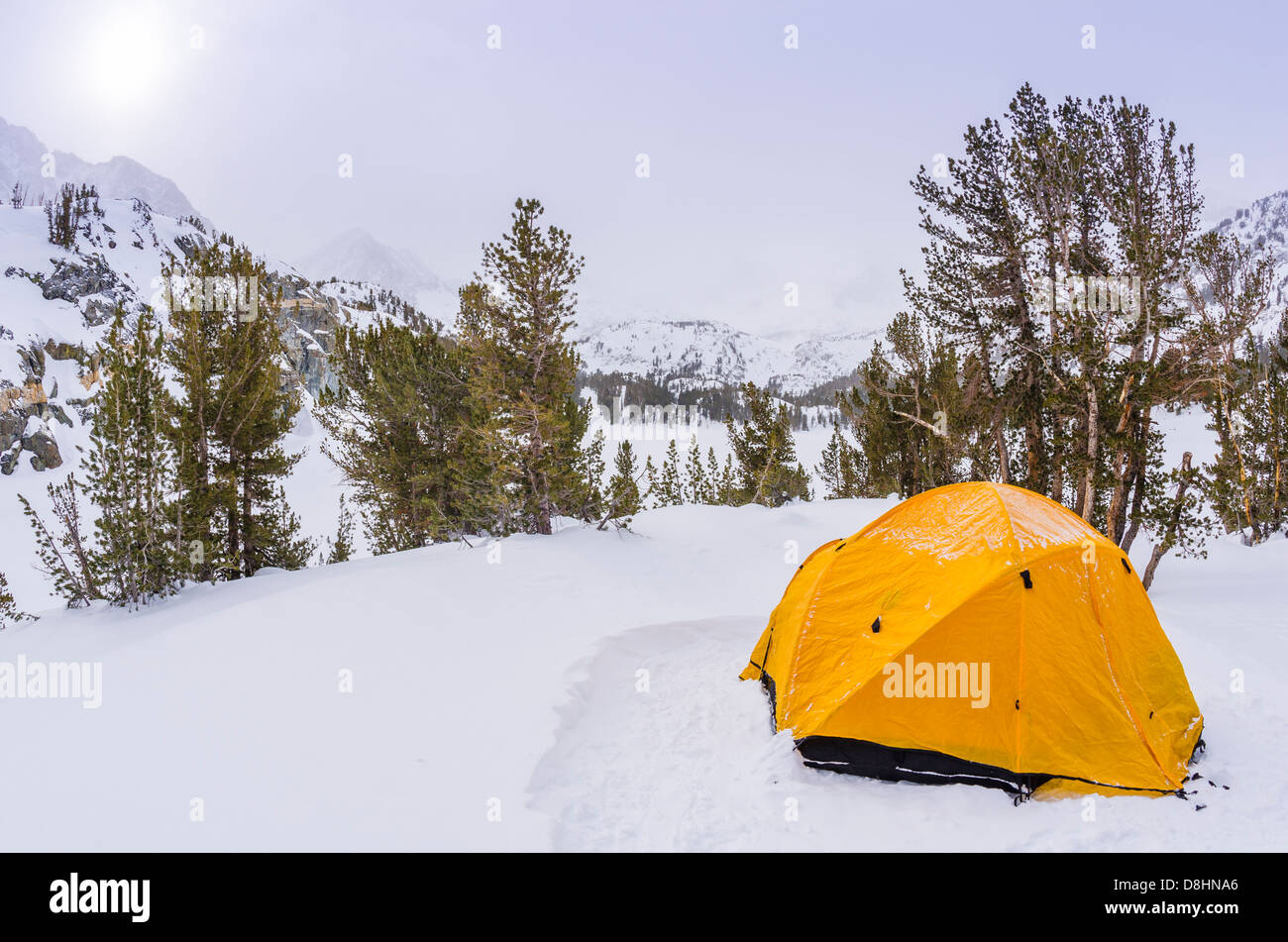 Yellow dome tent, John Muir Wilderness, Sierra Nevada Mountains