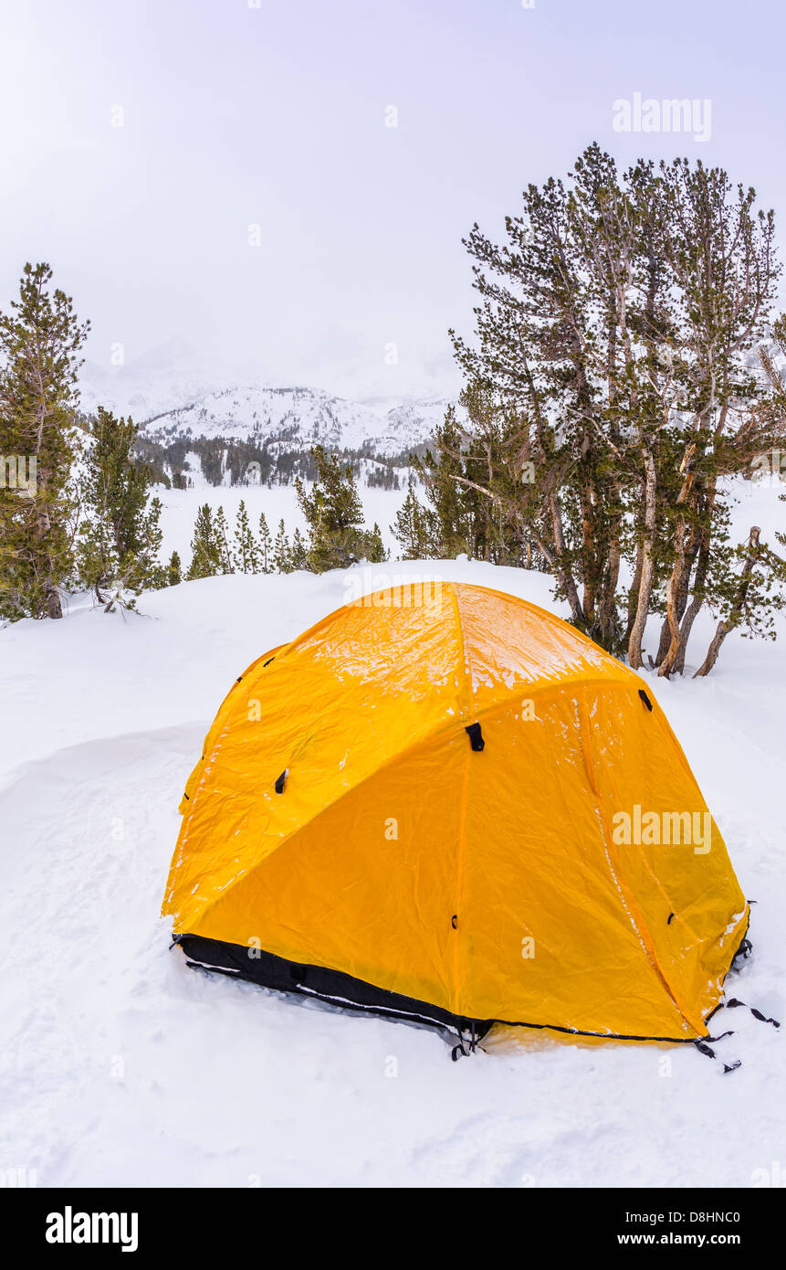 Yellow dome tent, John Muir Wilderness, Sierra Nevada Mountains