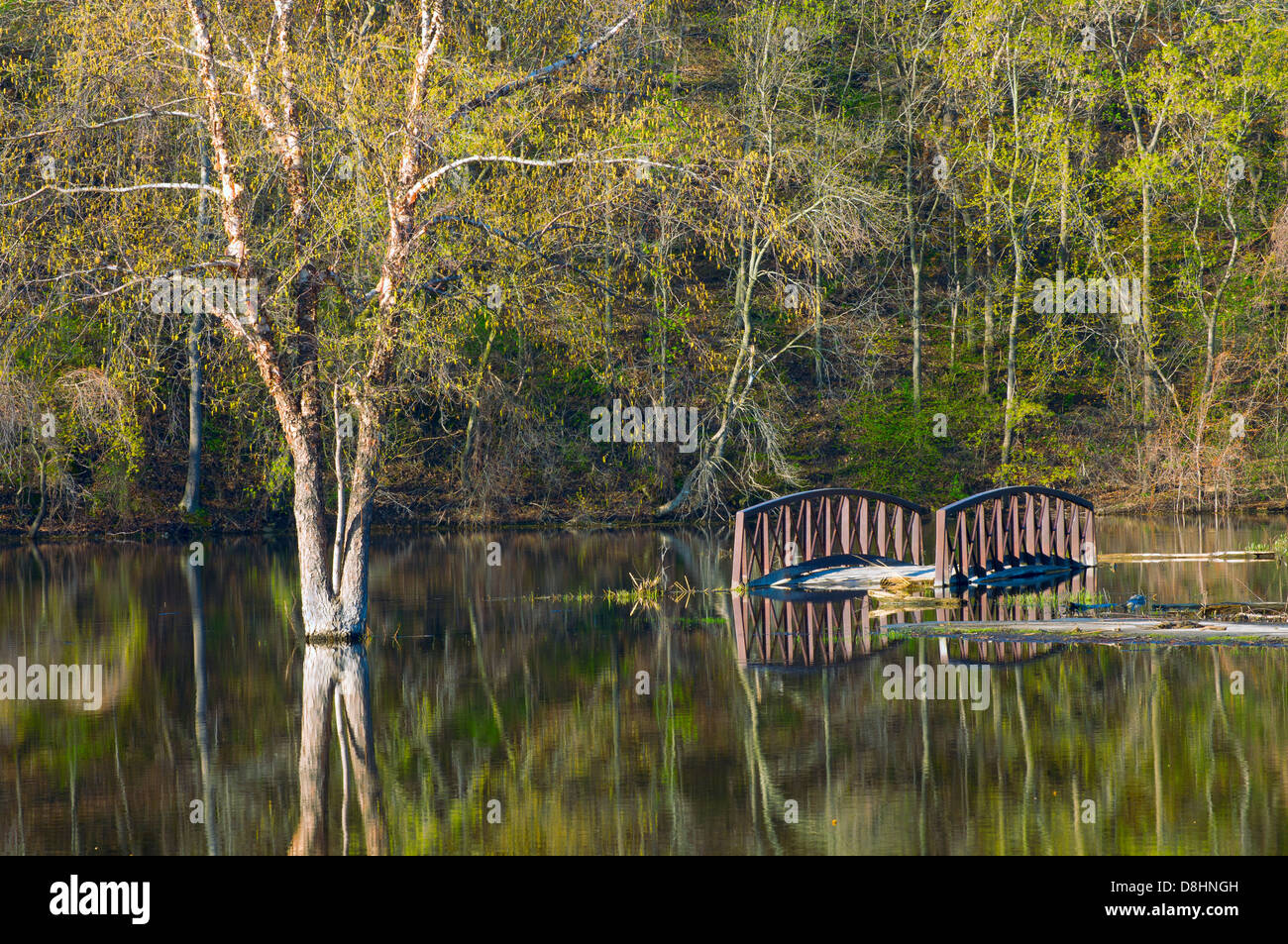 Rebecca Lake Park bridge and trees under floodwaters in Hastings Minnesota Stock Photo