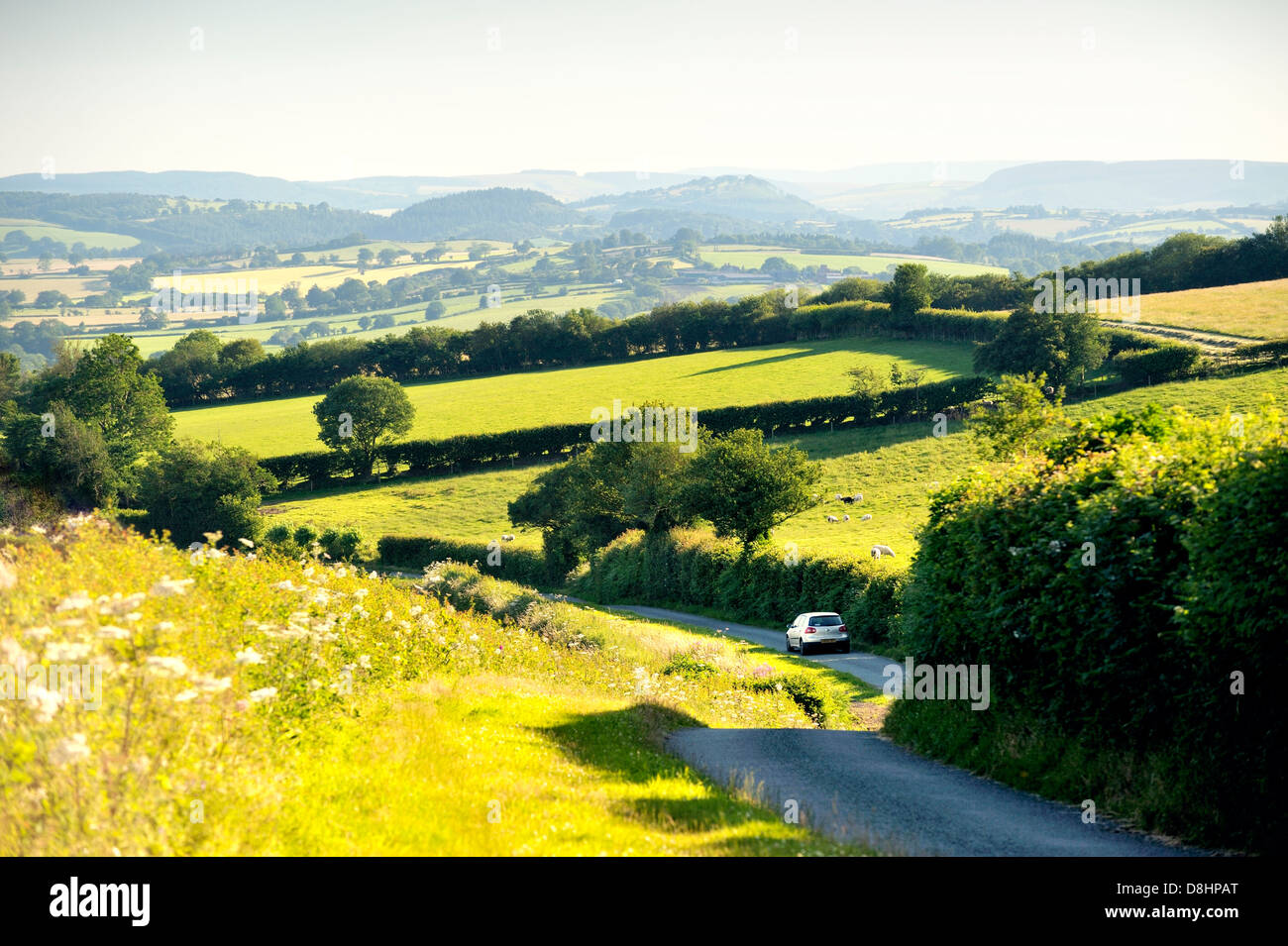 Car driving southwest down country road leading to Little Stretton on the eastern flank of Ragleth Hill, Shropshire, England Stock Photo