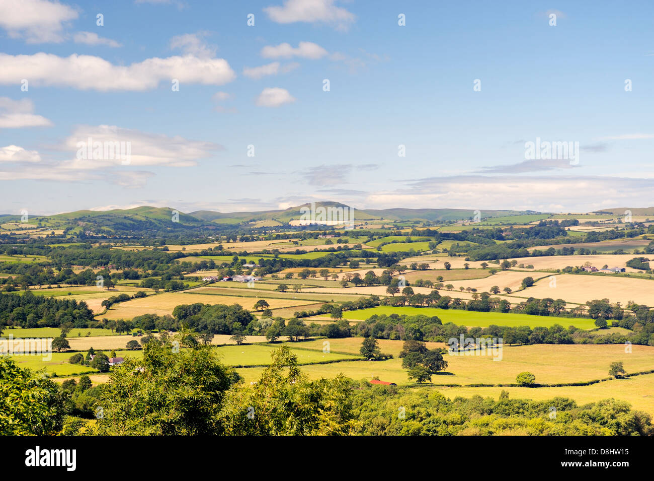 Southwest from Wenlock Edge near Easthope over summer farmland of Ape