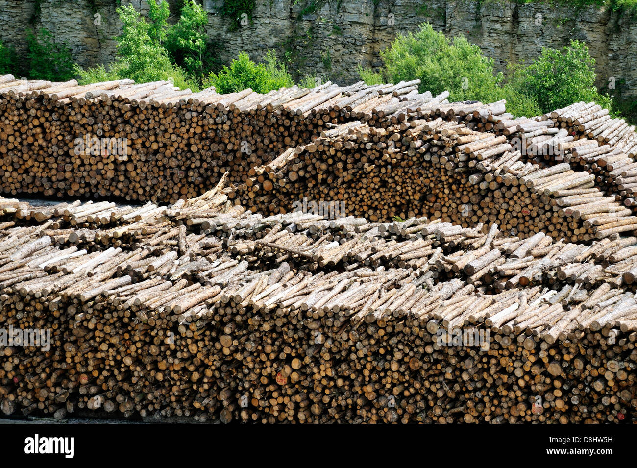 Conifer softwood timber logs stock pile from commercial forestry activity near Much Wenlock, Shropshire, England Stock Photo