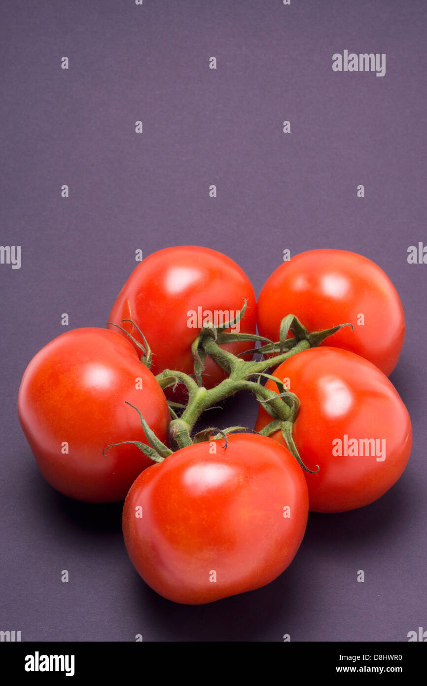 Five vine ripened tomatoes on a dark gray background in a studio setting. Stock Photo