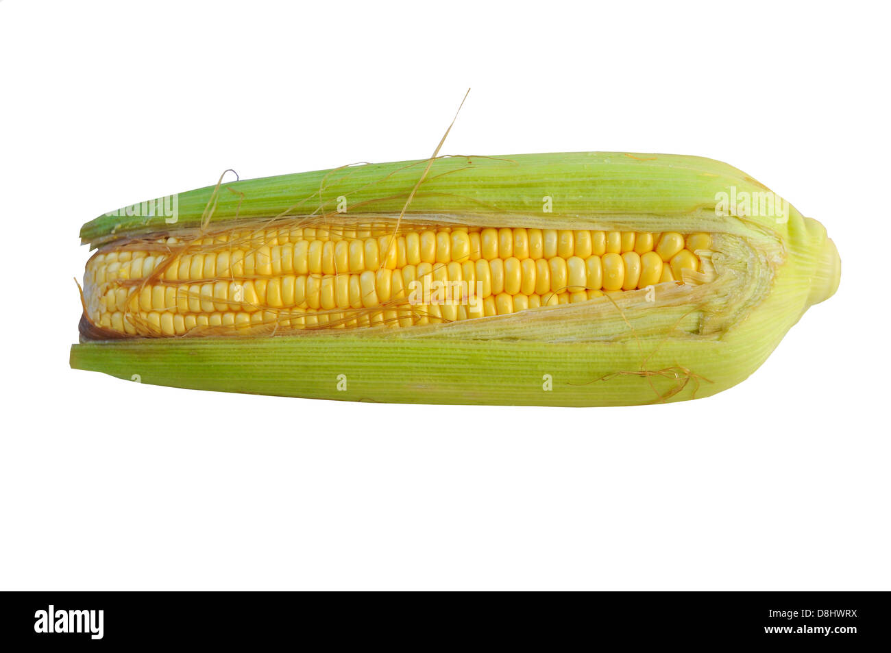 corn isolated on white Stock Photo - Alamy