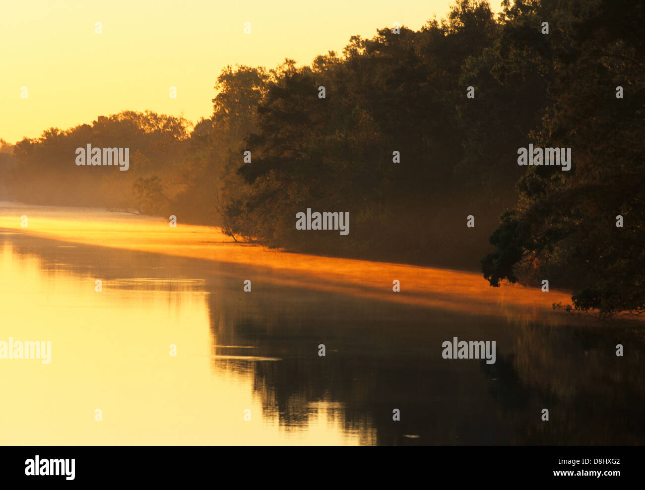 Elk283-4378 Louisiana, Cajun Country, Lake Fausse Pointe State Park, sunrise on Borrow Pit Canal Stock Photo