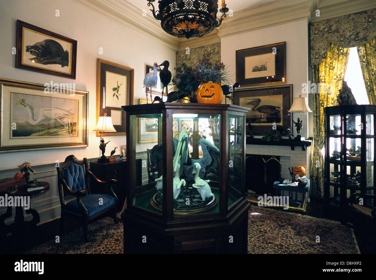 Elk283-4416 Louisiana, Cajun Country, Franklin, Oaklawn Manor, 1837, study Stock Photo
