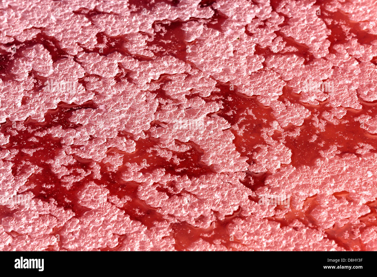 Salt crystals at salt mine Stock Photo