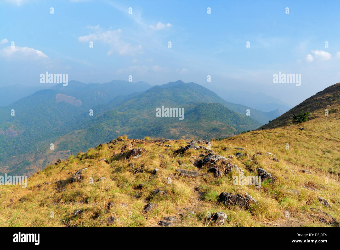 Ponmudi, Thiruvananthapuram, Kerala, India Stock Photo Alamy