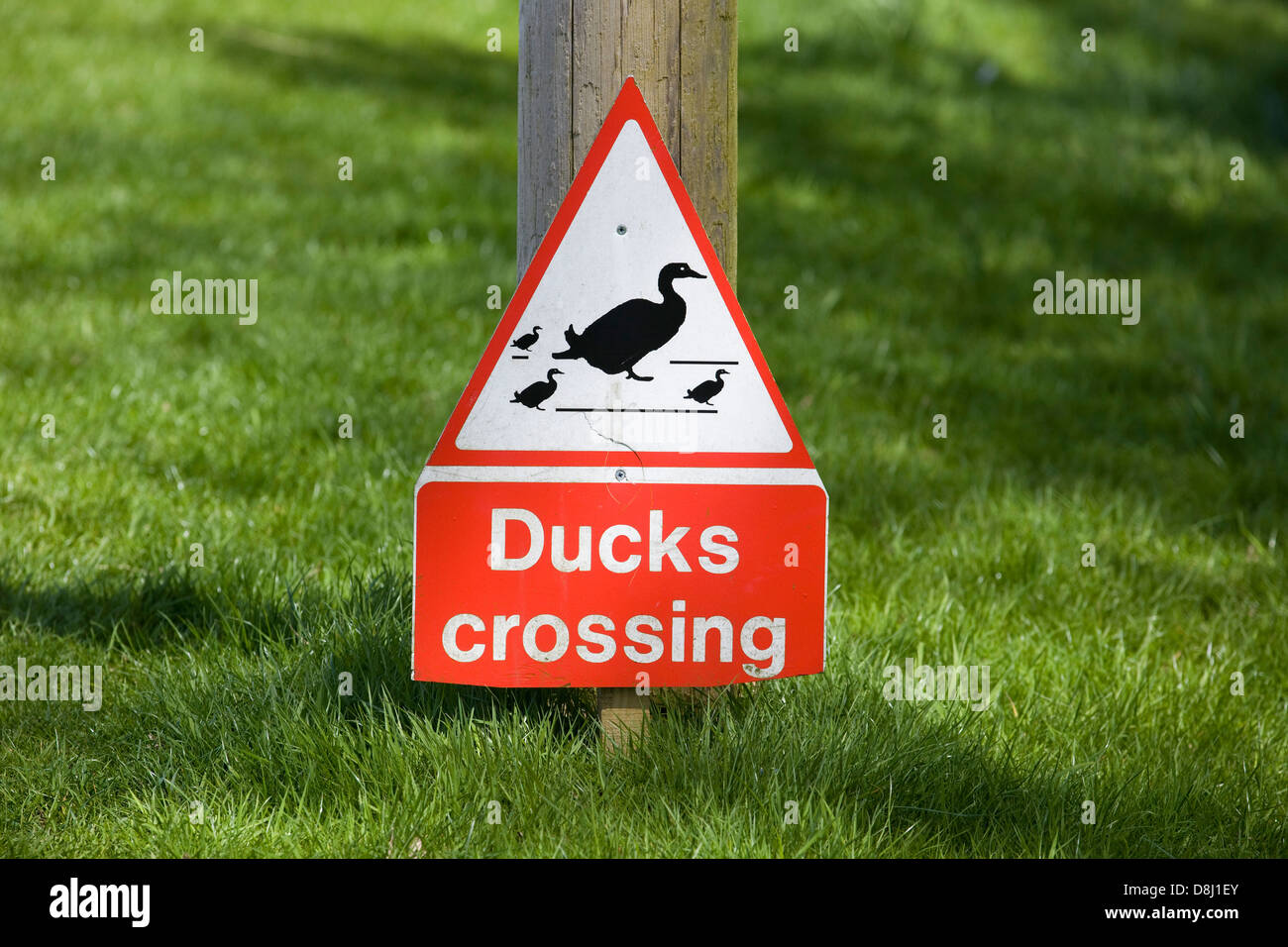 Sign for Ducks Crossing Stock Photo
