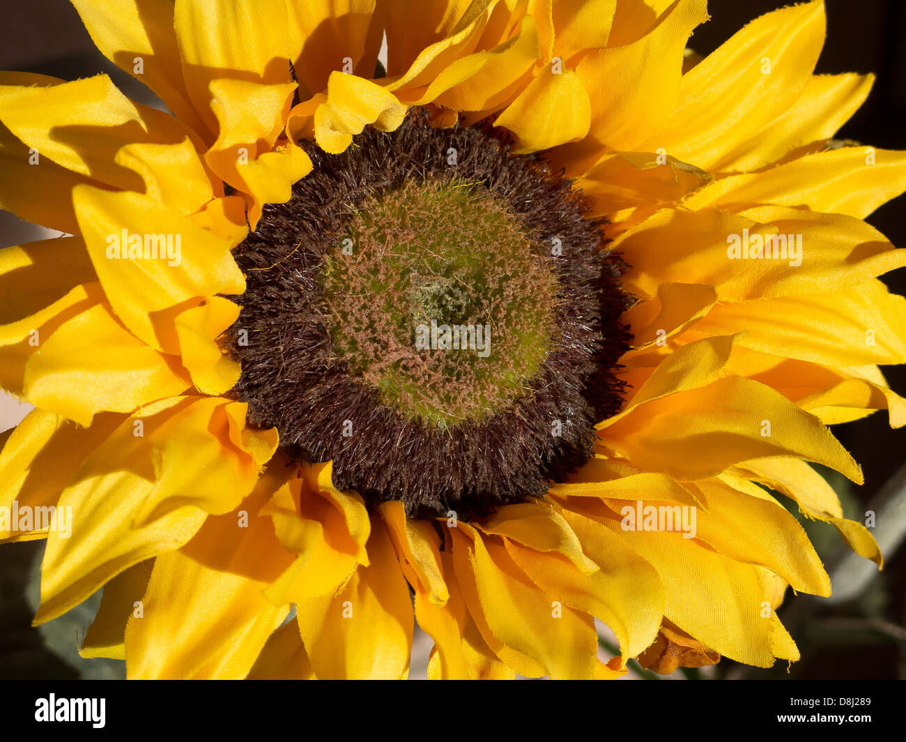 Closeup of artificial yellow sunflower Stock Photo