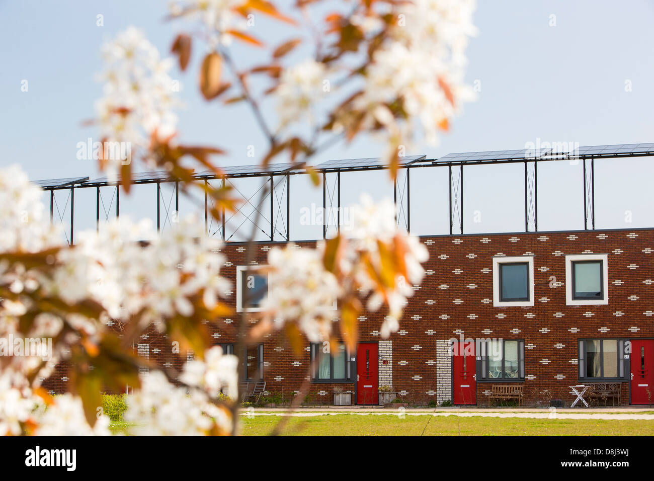 Houses in Almere with solar PV panels on the roof. It is the Netherlands youngest town, in Flevoland Stock Photo