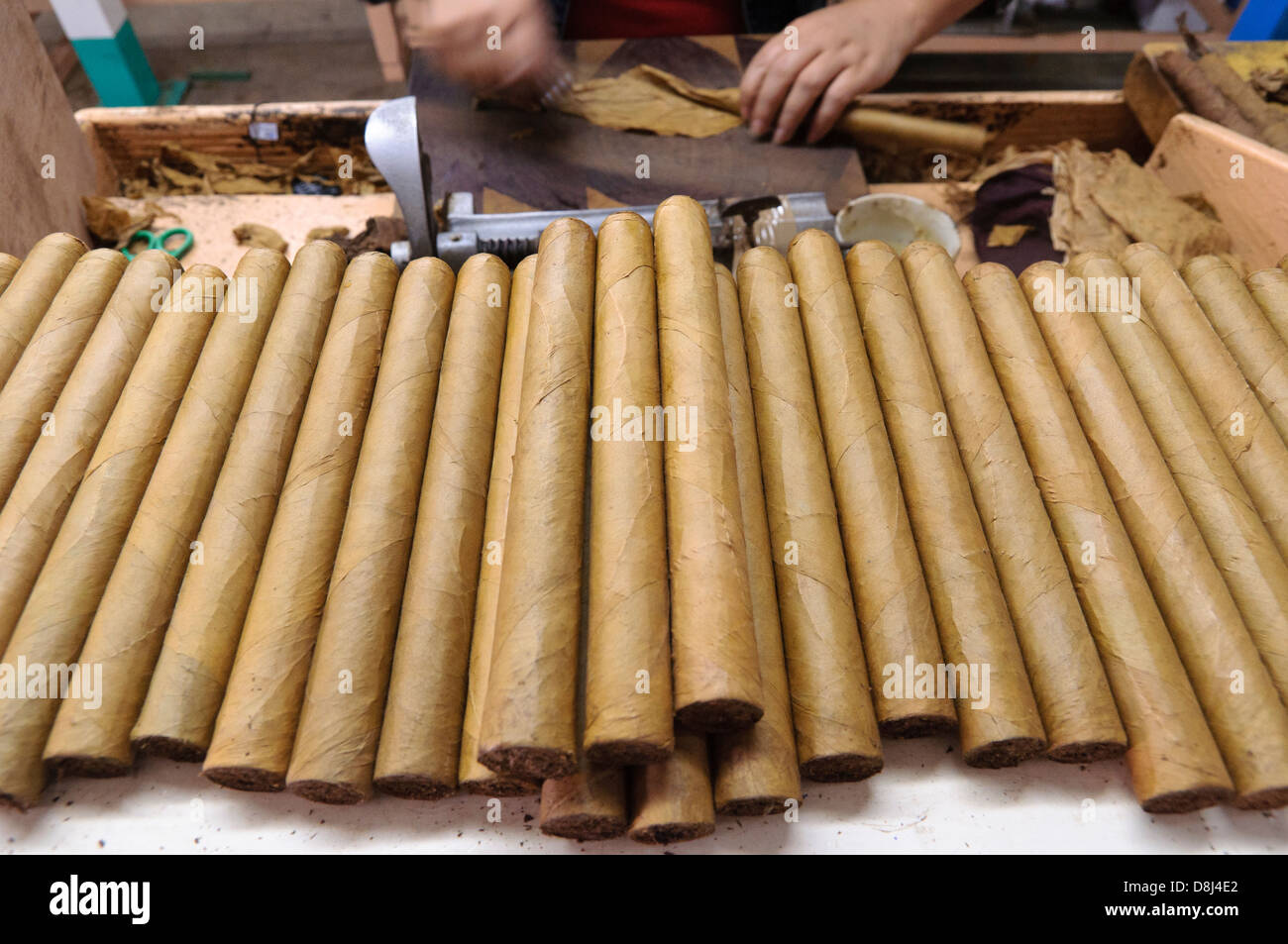 Cigar Manufacturing, Estelí, Nicaragua, Central America Stock Photo Alamy