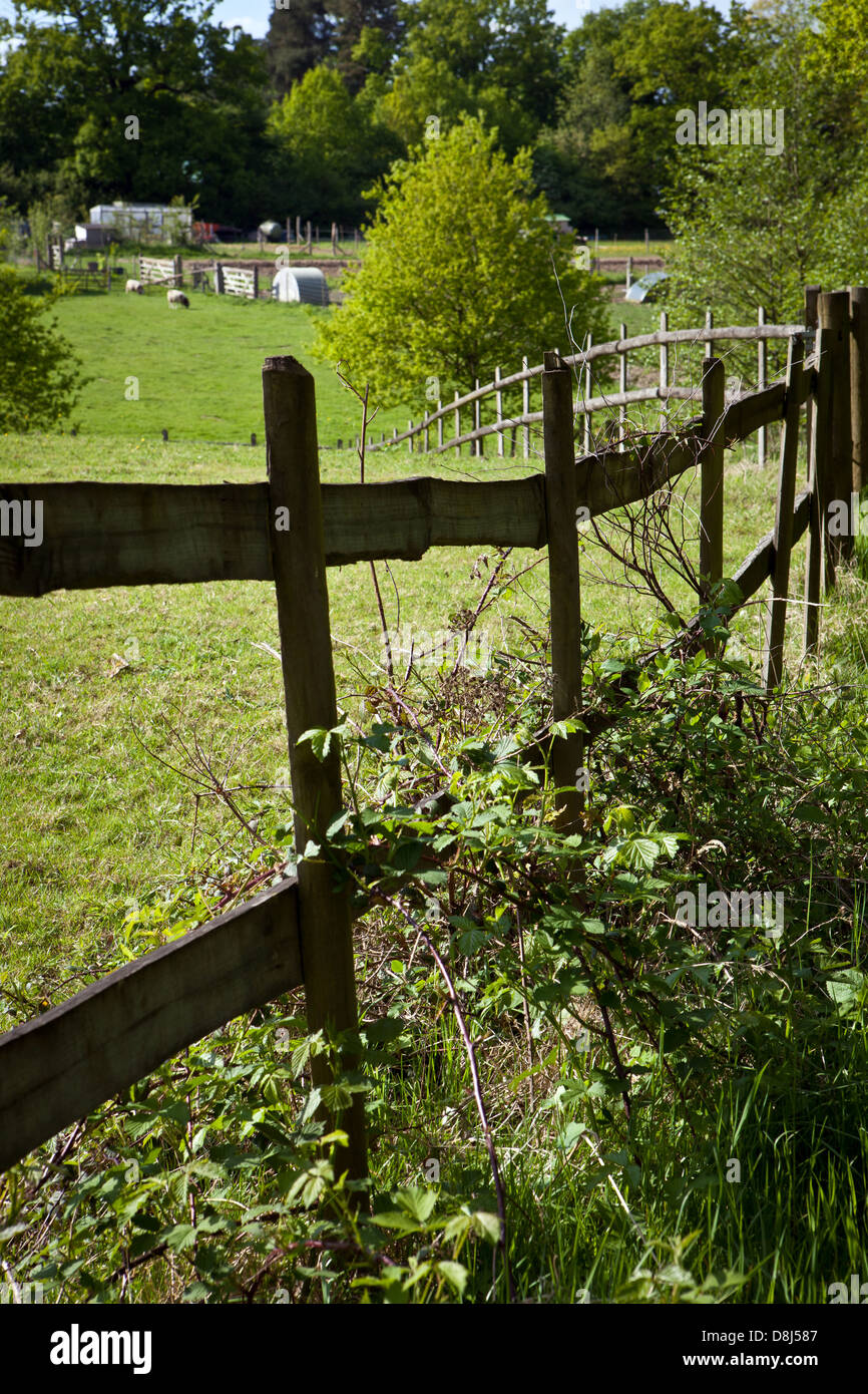 Rural fence hi-res stock photography and images - Alamy
