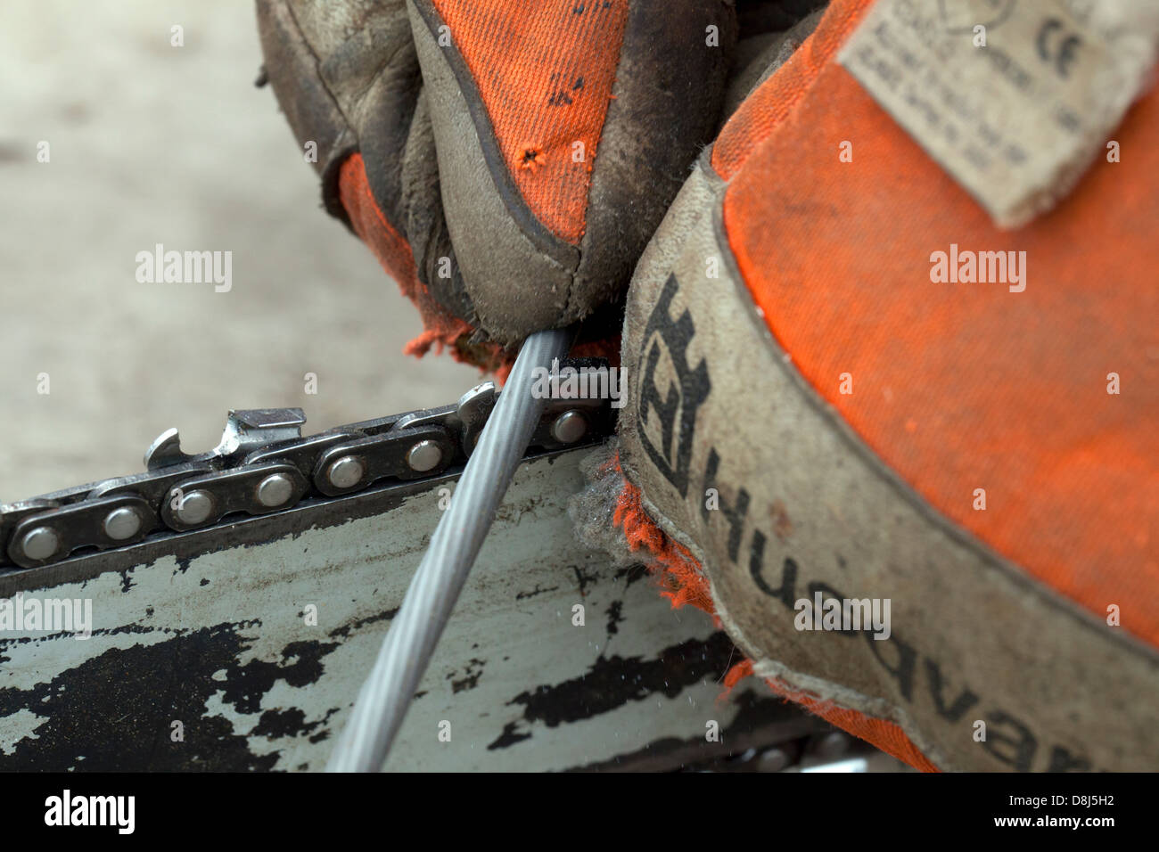 Sharpening the blades of a chain saw blade Stock Photo