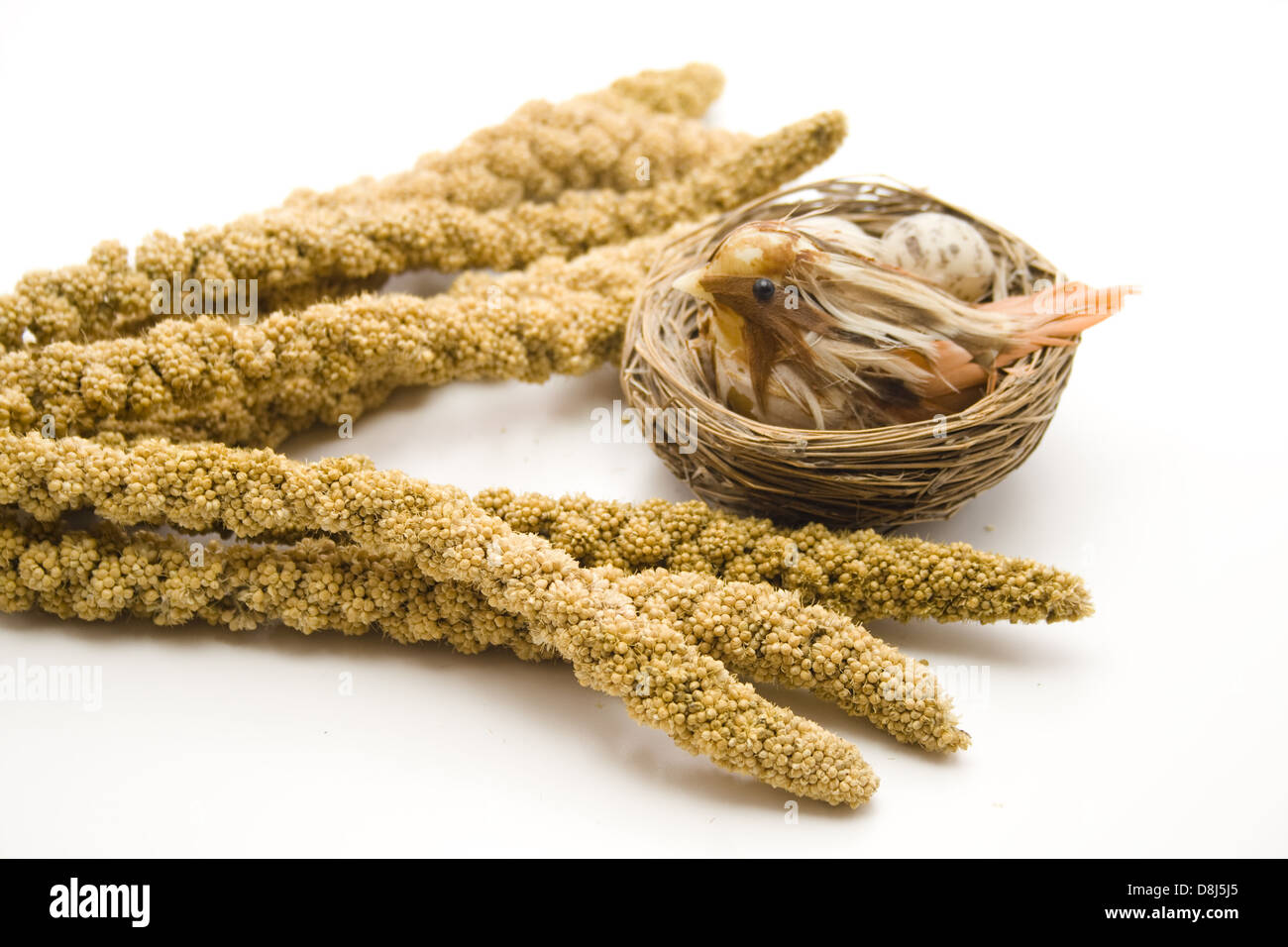 Millet and bird Stock Photo Alamy