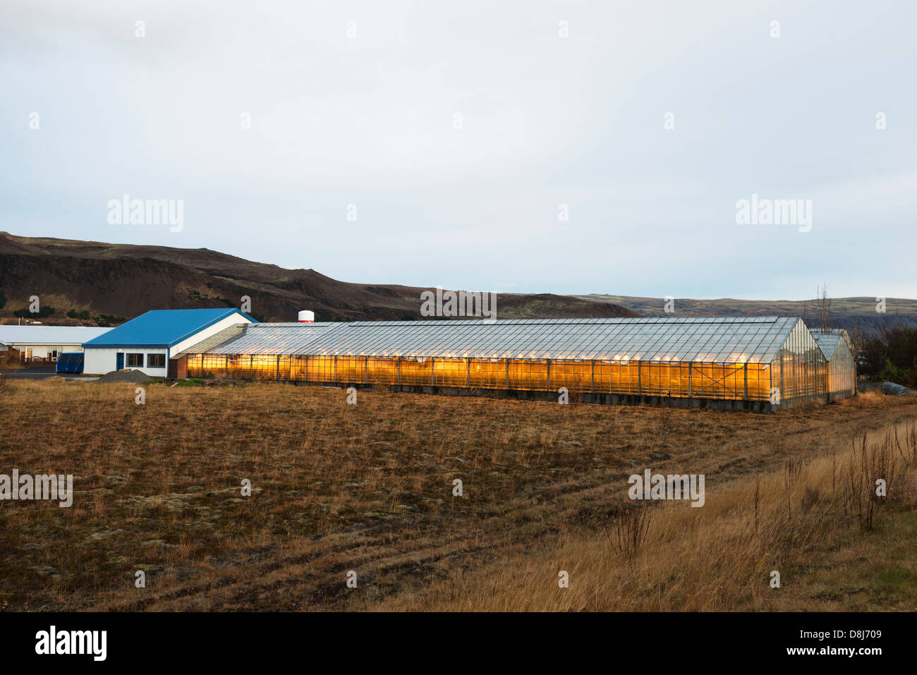 Europe, Iceland, Green houses Stock Photo