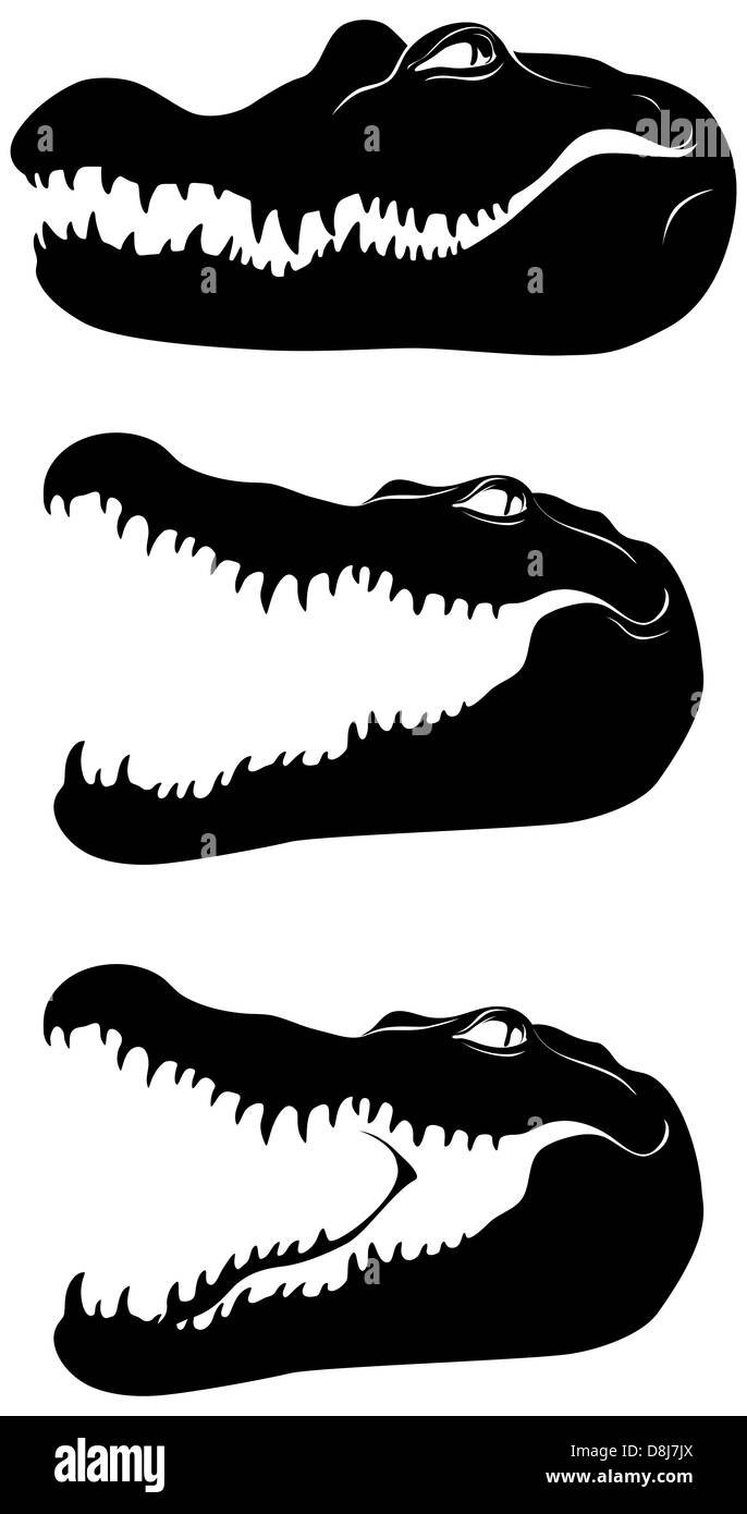 Black head of crocodile. Vector image. Stock Photo