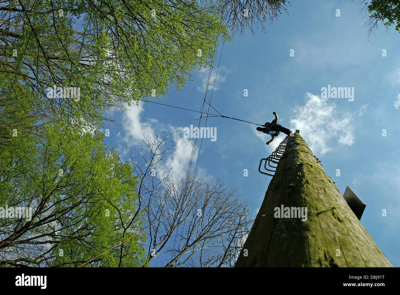 Jump from the Pamper Pole Stock Photo