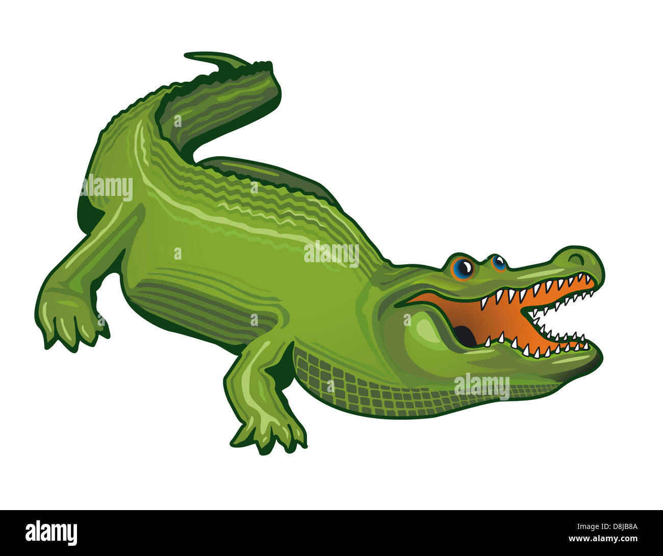 large alligator Stock Photo