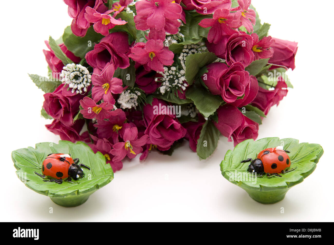 Ladybug and roses Stock Photo Alamy