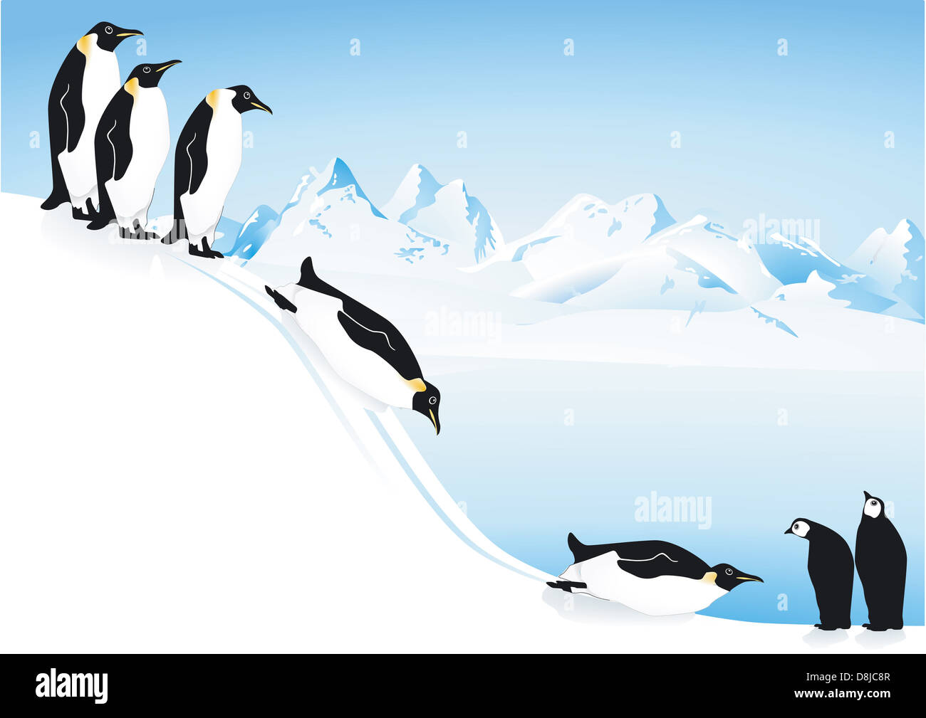 Penguins slide Stock Photo
