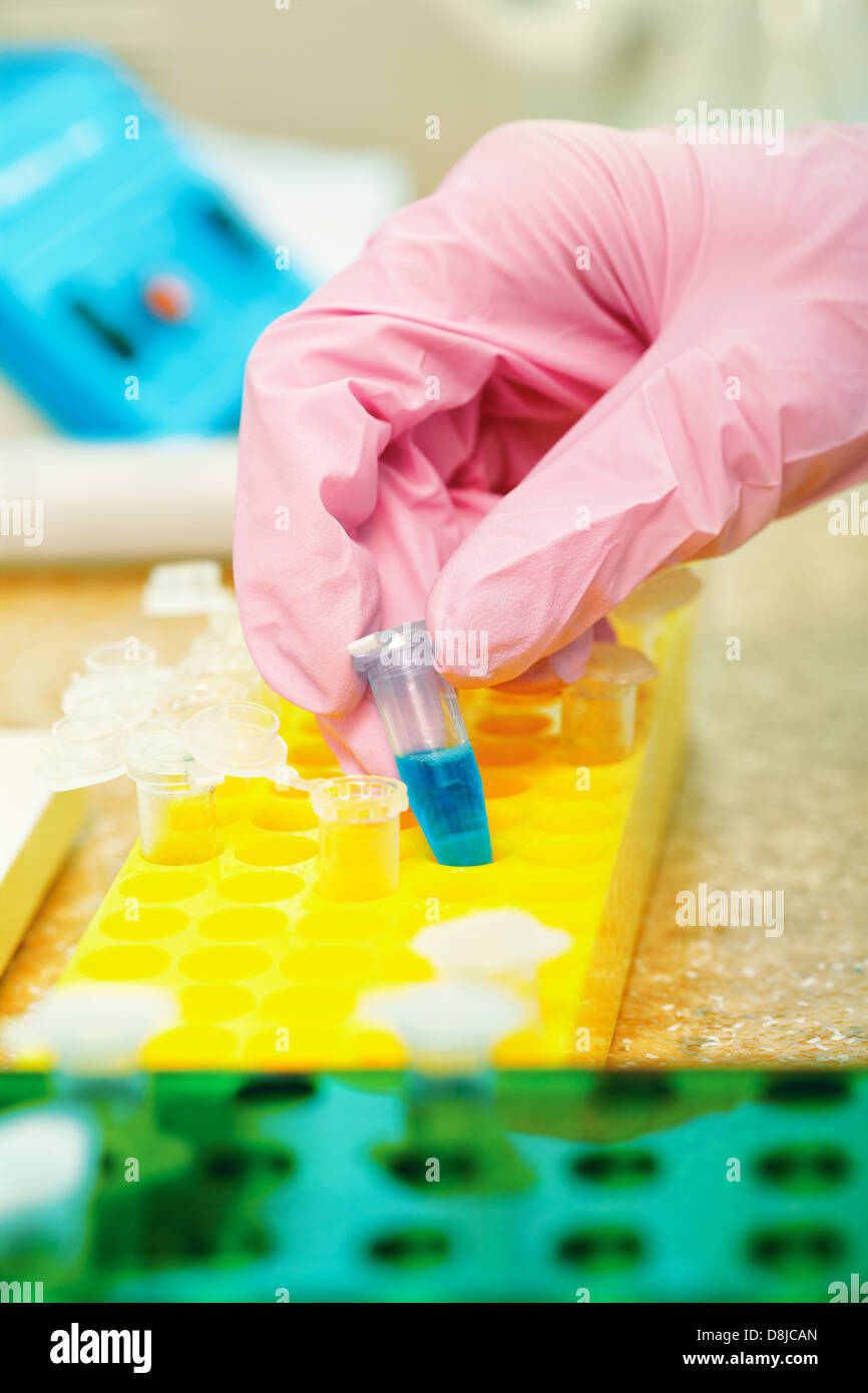 close-up shot of scientist's hand in pink protective glove putting samples into test tube rack Stock Photo